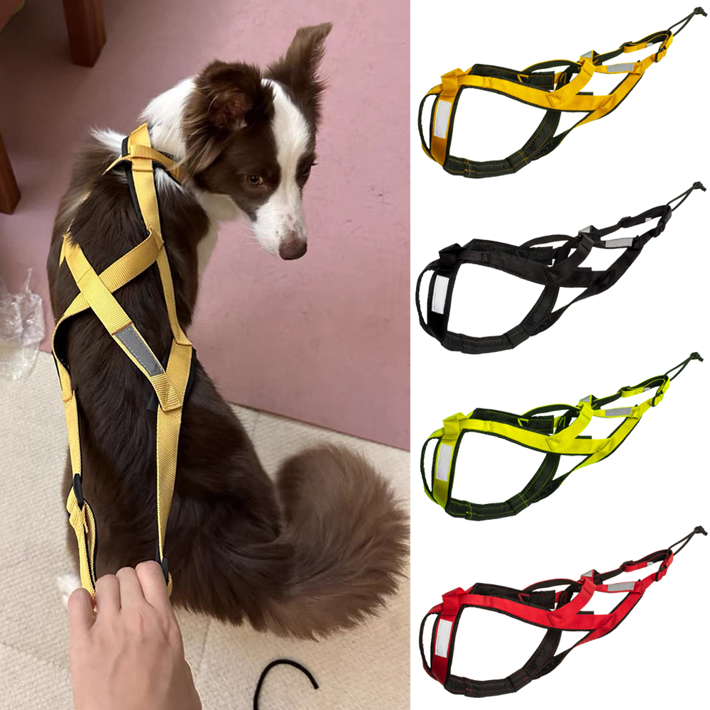 High Quality Big Dog Sledge Ha - Reflective Jacket Running ulasan dan harga
