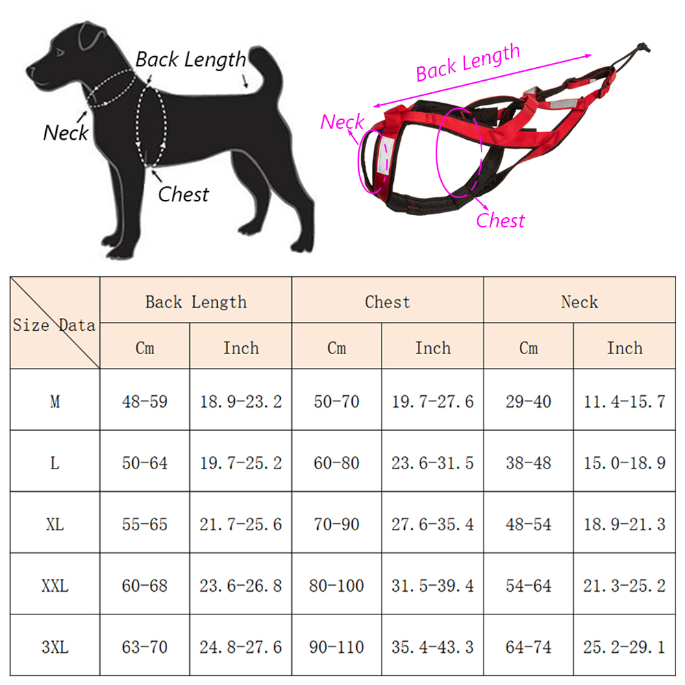 High Quality Big Dog Sledge Ha - Reflective Jacket Running ulasan dan harga