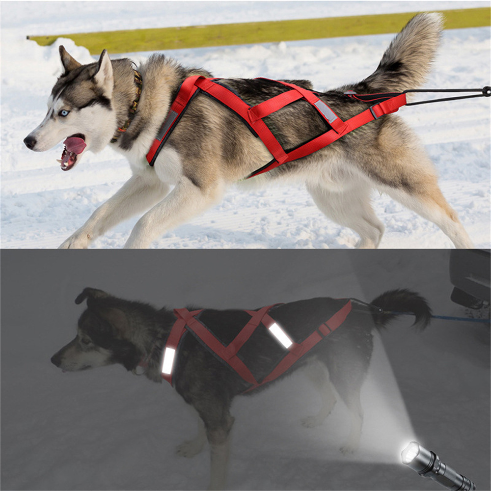 High Quality Big Dog Sledge Ha - Reflective Jacket Running ulasan dan harga