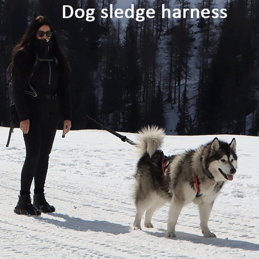 High Quality Big Dog Sledge Ha - Reflective Jacket Running ulasan dan harga
